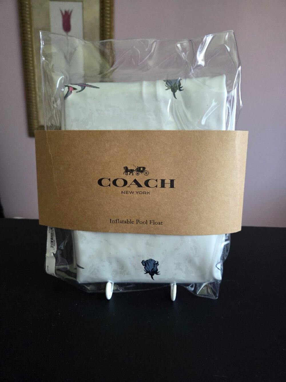 Coach Inflatable Pool Float